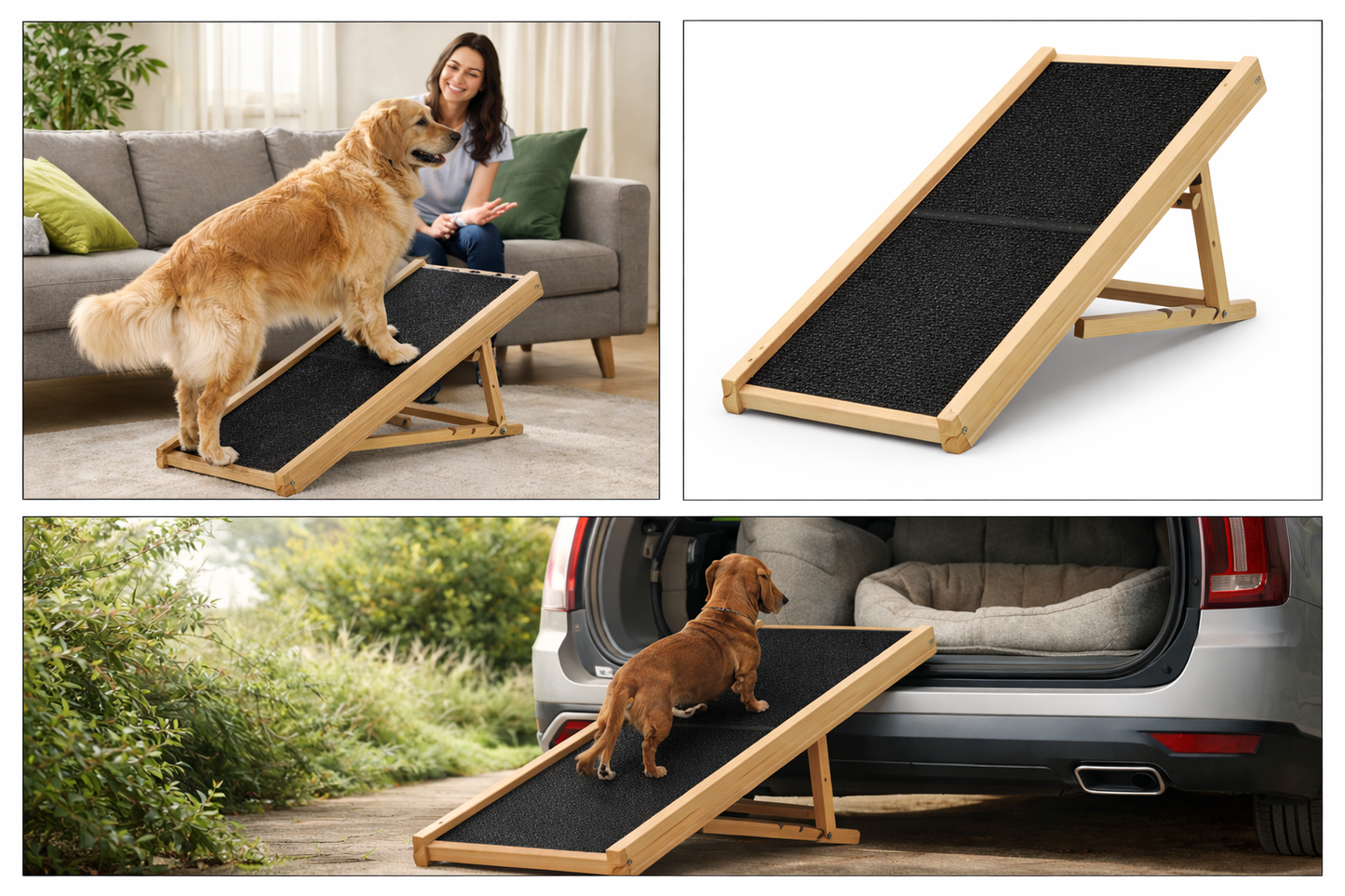 PetStep Go